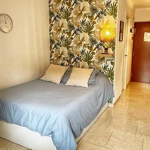 Estudio Aguila Apartamento